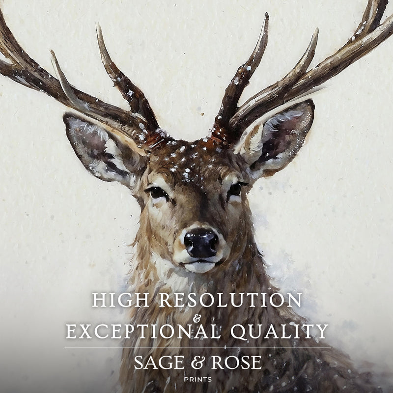 Buck with Antlers Wildlife Art - Sage and Rose Prints