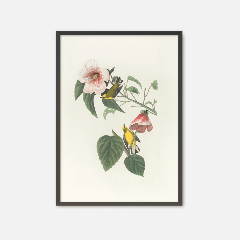 Bird Artwork with Pink Flower - Sage and Rose Prints