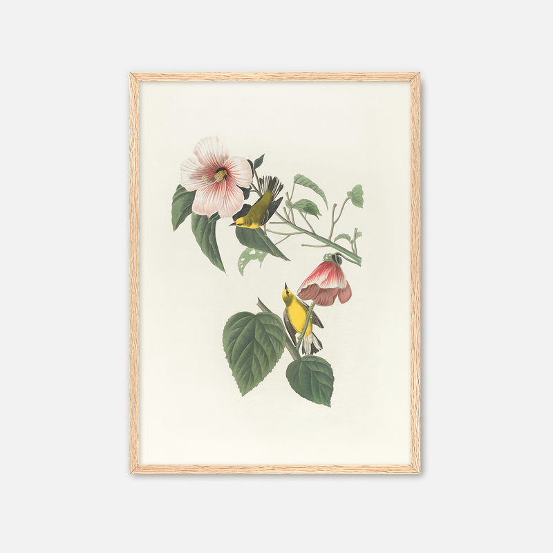 Bird Artwork with Pink Flower - Sage and Rose Prints