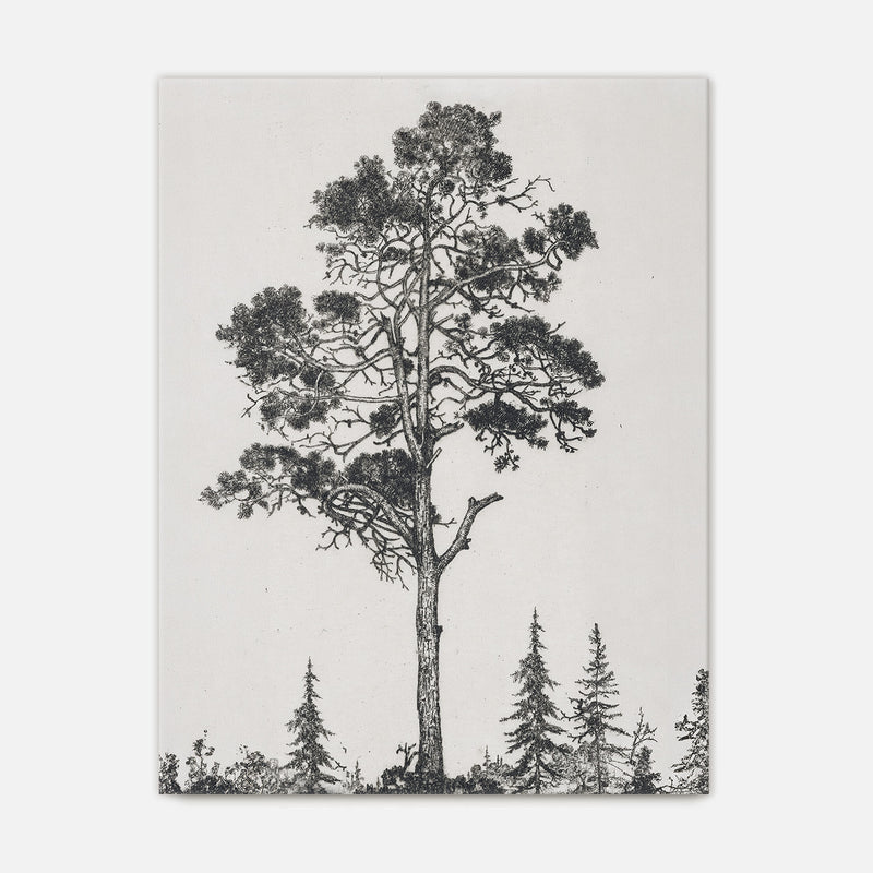 Black and White Tree Illustration No2 - Sage and Rose Prints