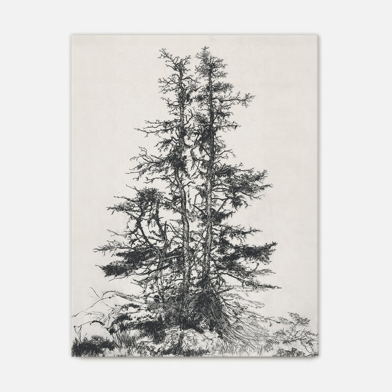 Black and White Tree Illustration No1 - Sage and Rose Prints