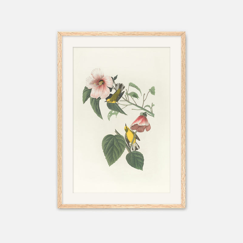 Bird Artwork with Pink Flower - Sage and Rose Prints