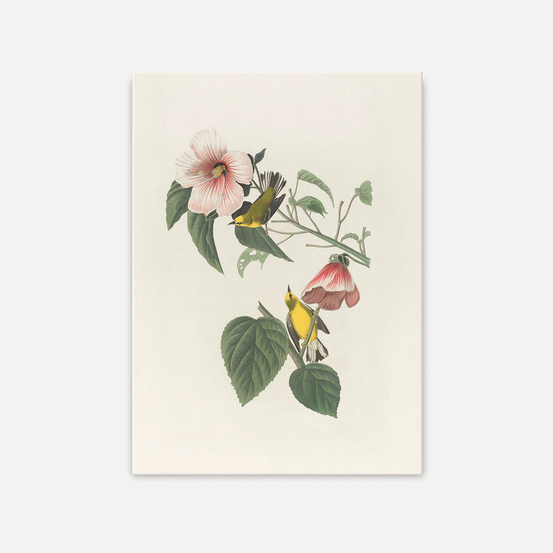 Bird Artwork with Pink Flower - Sage and Rose Prints