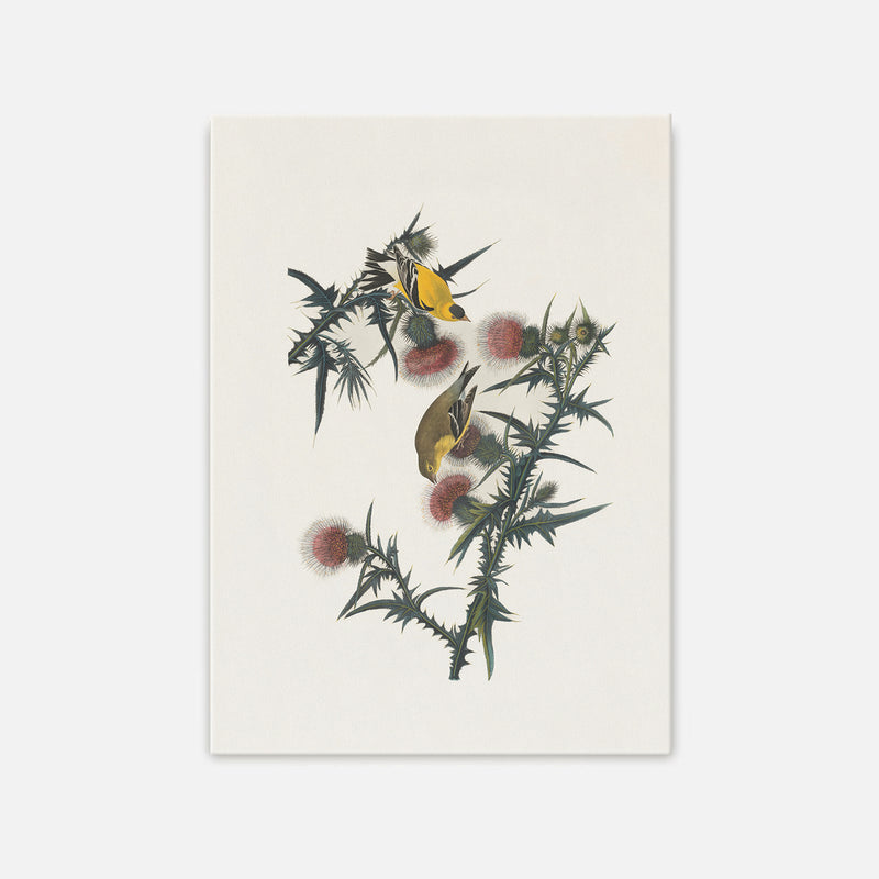 Yellow Bird Artwork - Sage and Rose Prints
