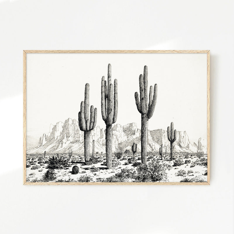Black and White Cactus Wall Art - Sage and Rose Prints