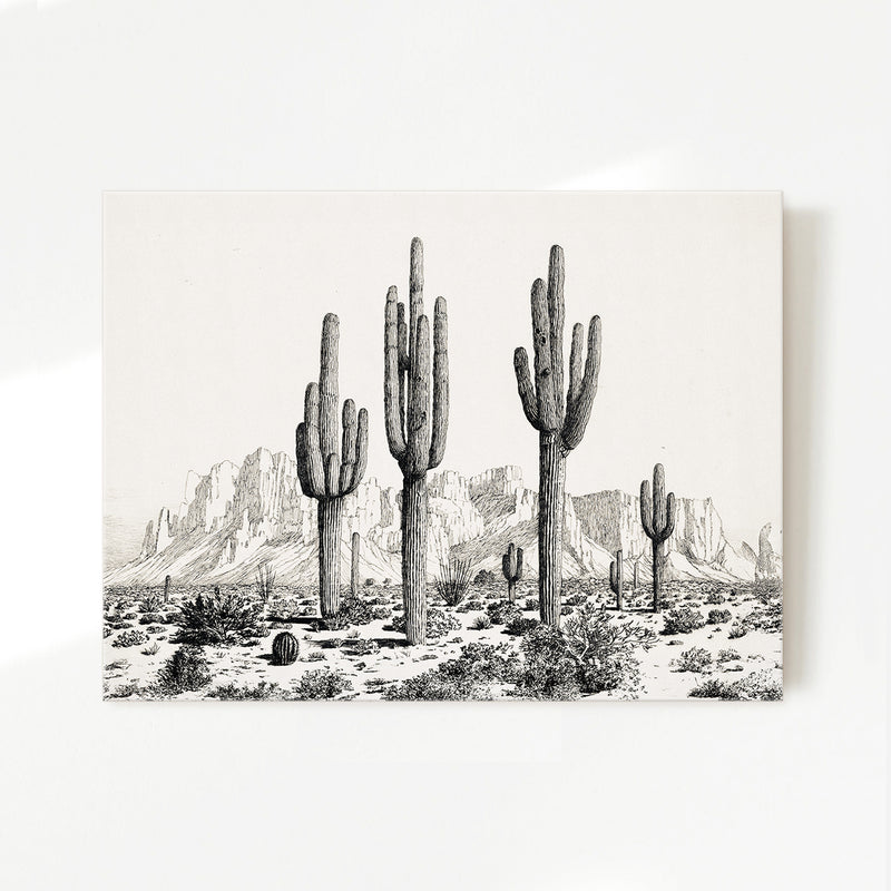 Black and White Cactus Wall Art - Sage and Rose Prints