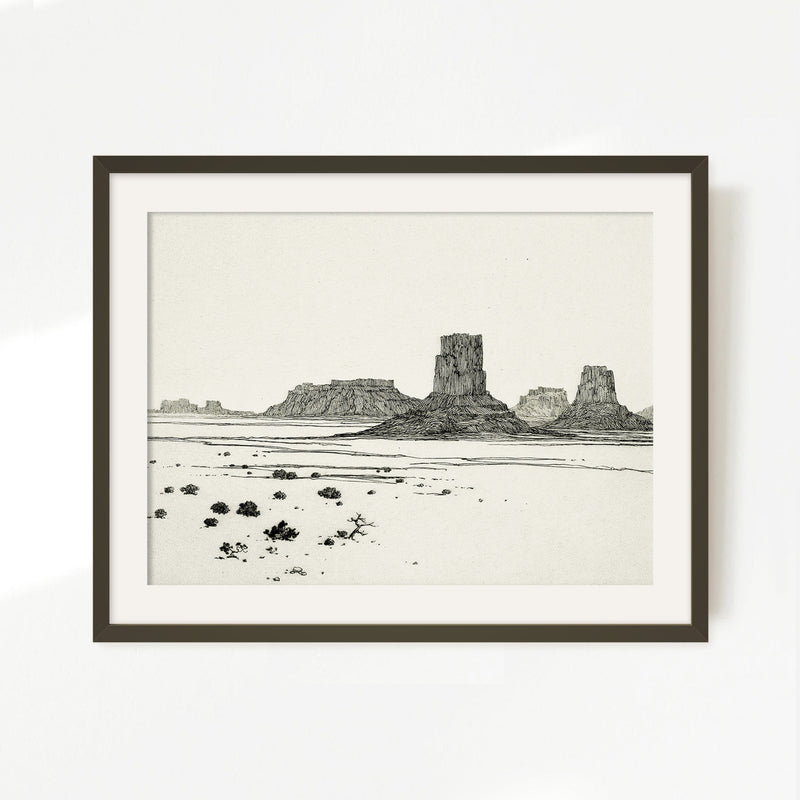 Desert Mesa Drawing - Sage and Rose Prints