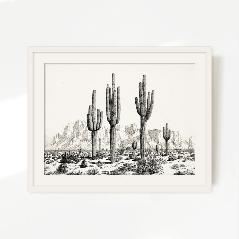 Black and White Cactus Wall Art - Sage and Rose Prints