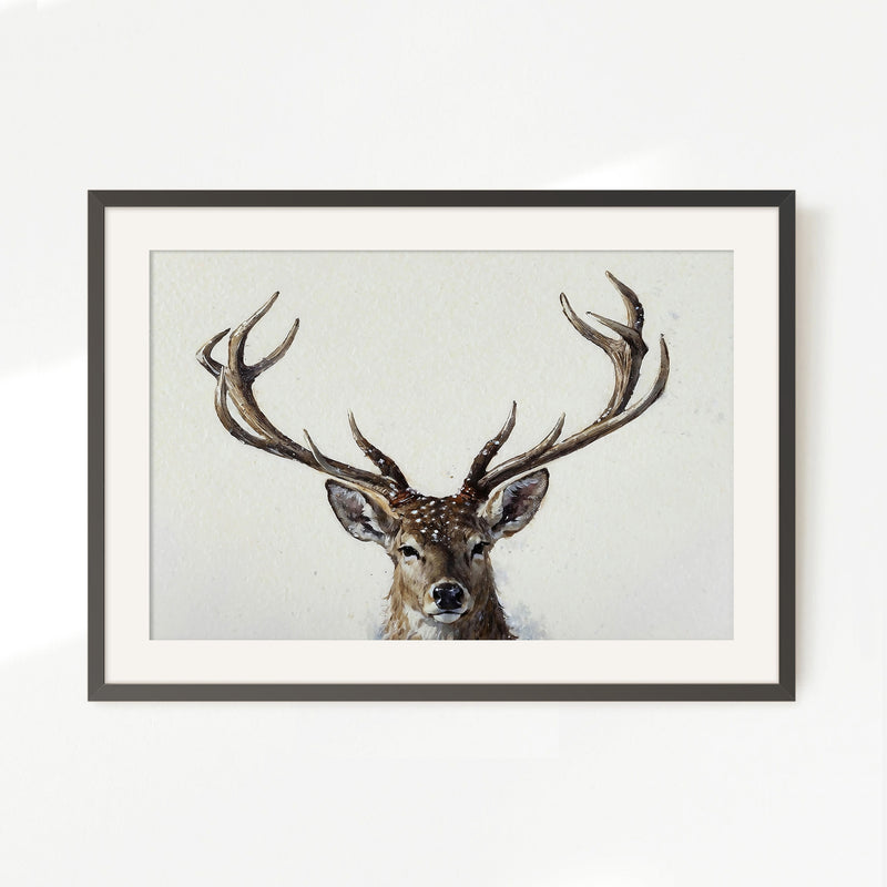 Buck with Antlers Wildlife Art - Sage and Rose Prints