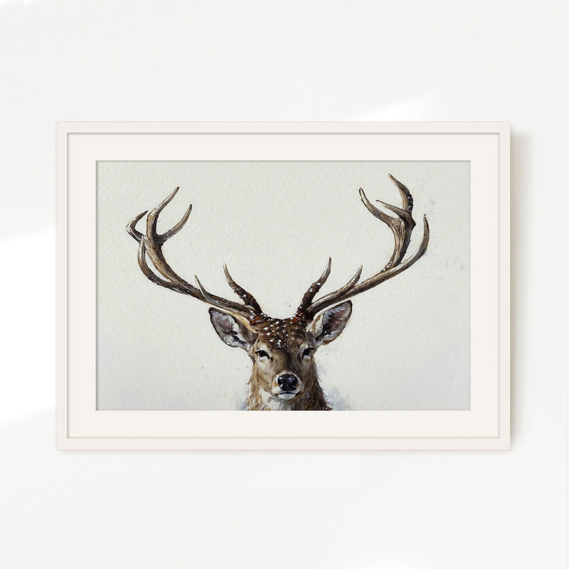 Buck with Antlers Wildlife Art - Sage and Rose Prints