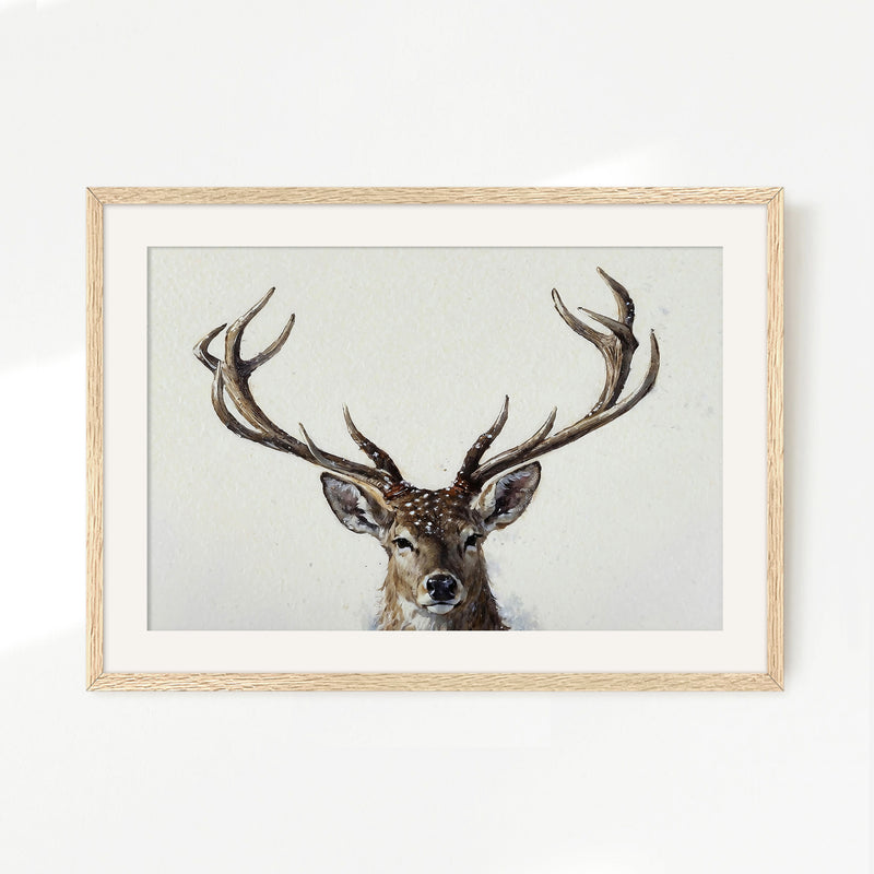 Buck with Antlers Wildlife Art - Sage and Rose Prints