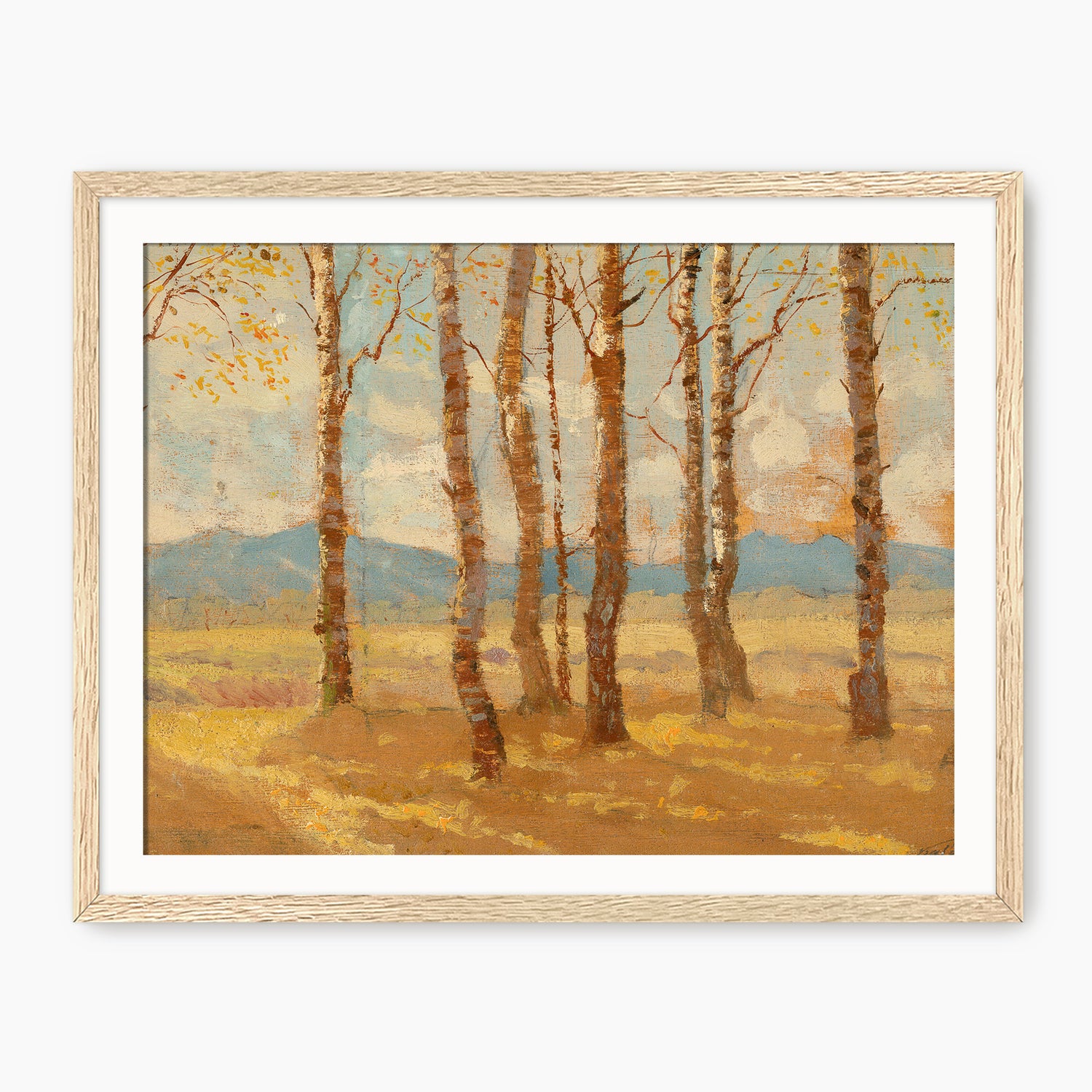 Birches in Autumn - Sage and Rose Prints