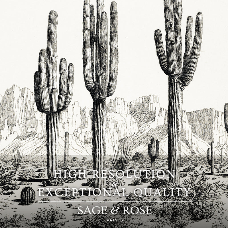 Black and White Cactus Wall Art 2-Panel Set - Sage and Rose Prints