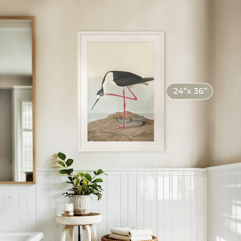 Black Necked Stilt Print - Sage and Rose Prints
