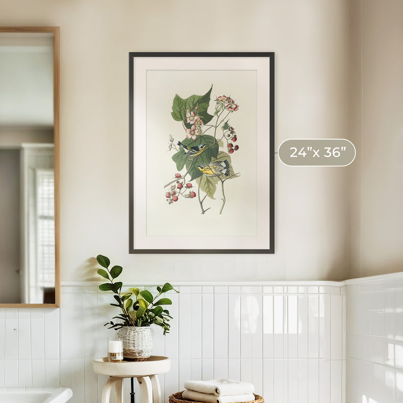 Black and Yellow Warbler Print - Sage and Rose Prints
