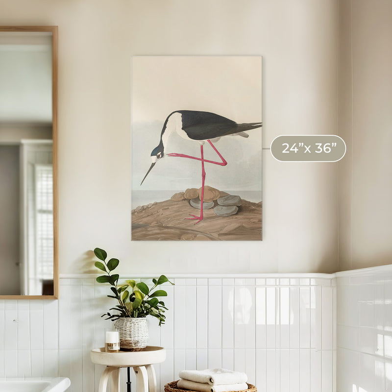 Black Necked Stilt Print - Sage and Rose Prints
