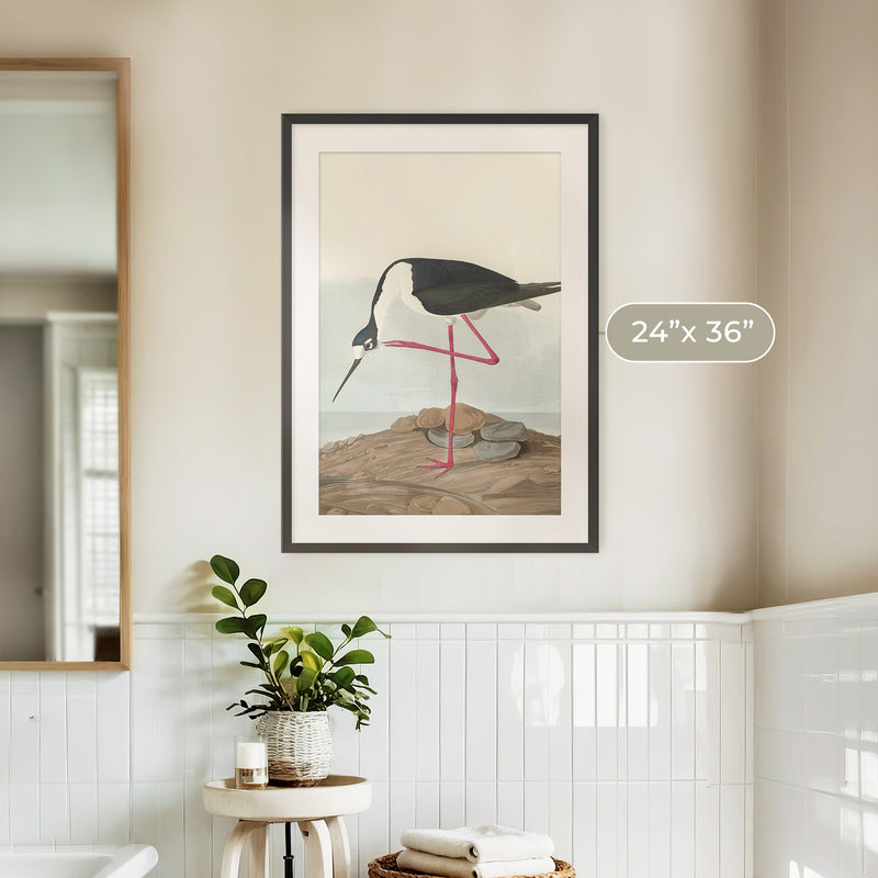 Black Necked Stilt Print - Sage and Rose Prints