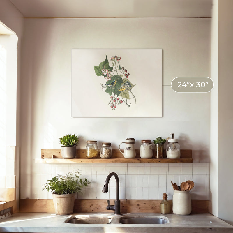 Black and Yellow Warbler Print 2 - Sage and Rose Prints