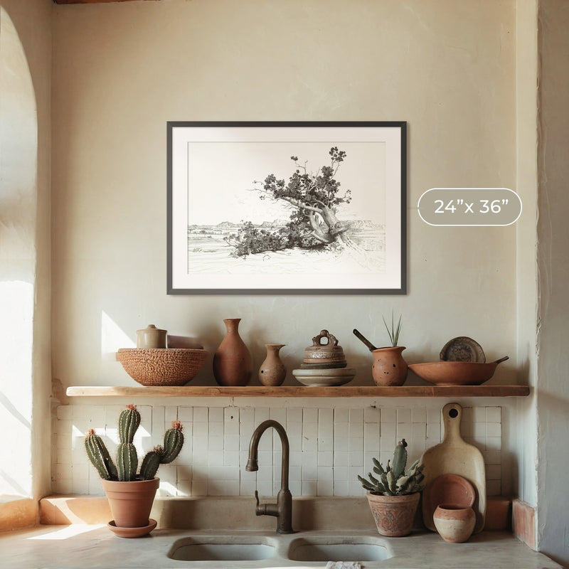 Black and White Desert Tree Drawing - Sage and Rose Prints