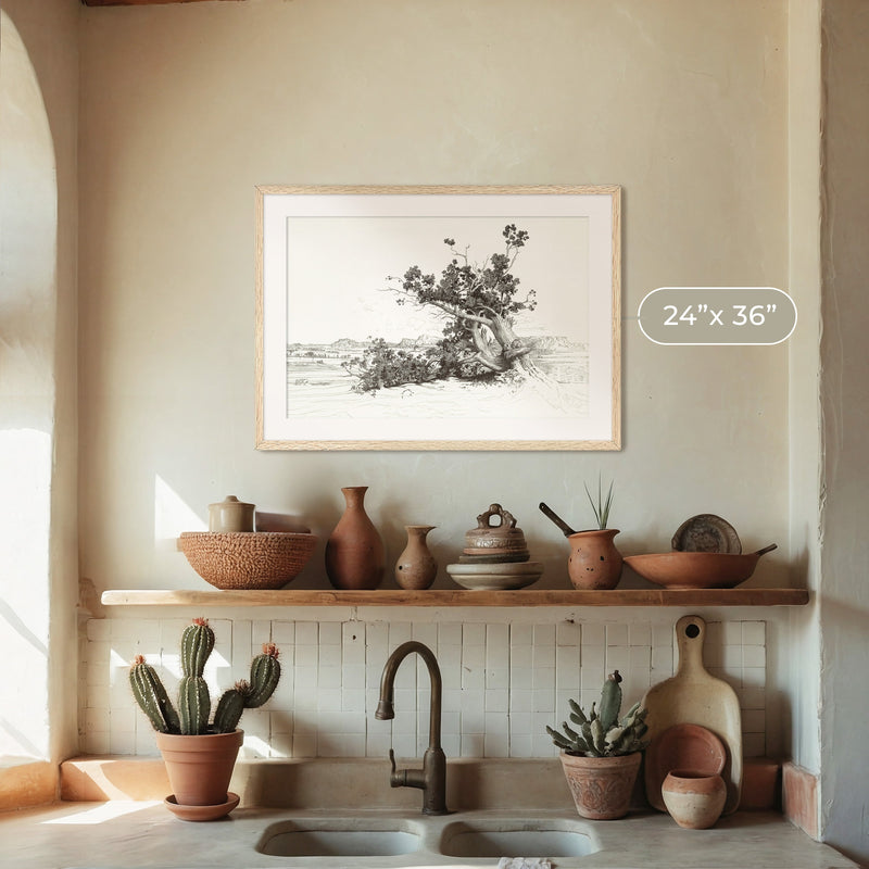 Black and White Desert Tree Drawing - Sage and Rose Prints