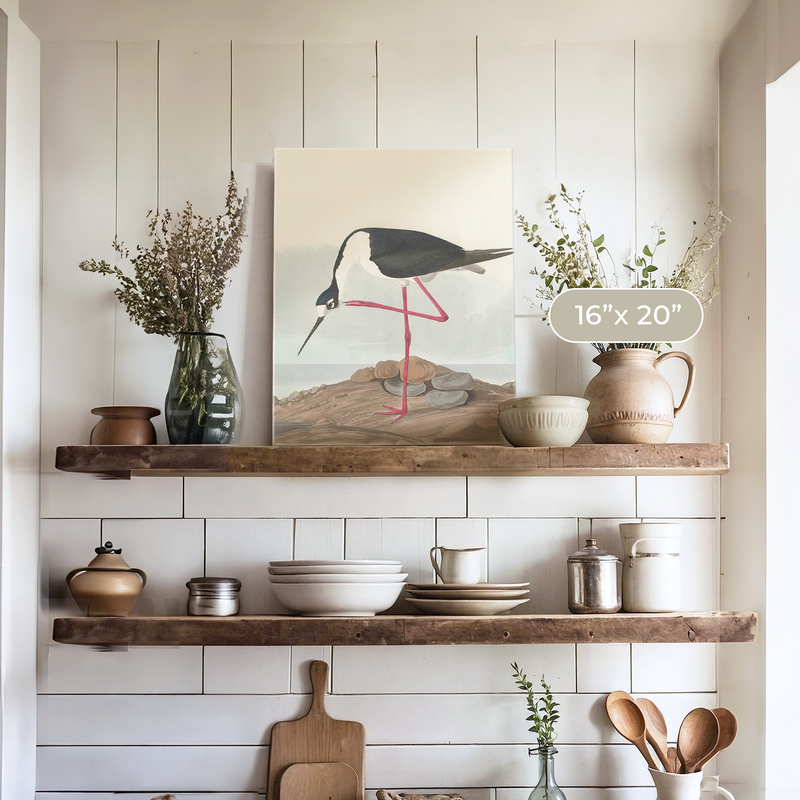 Black Necked Stilt Print - Sage and Rose Prints