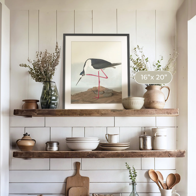 Black Necked Stilt Print - Sage and Rose Prints