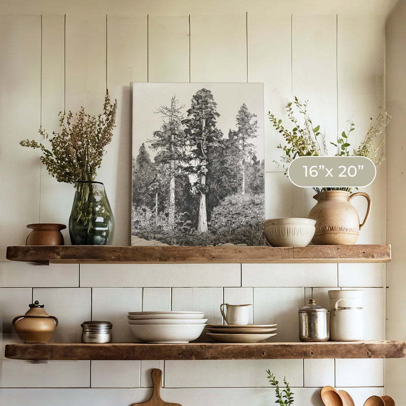 Black and White Tree Illustration No3 - Sage and Rose Prints
