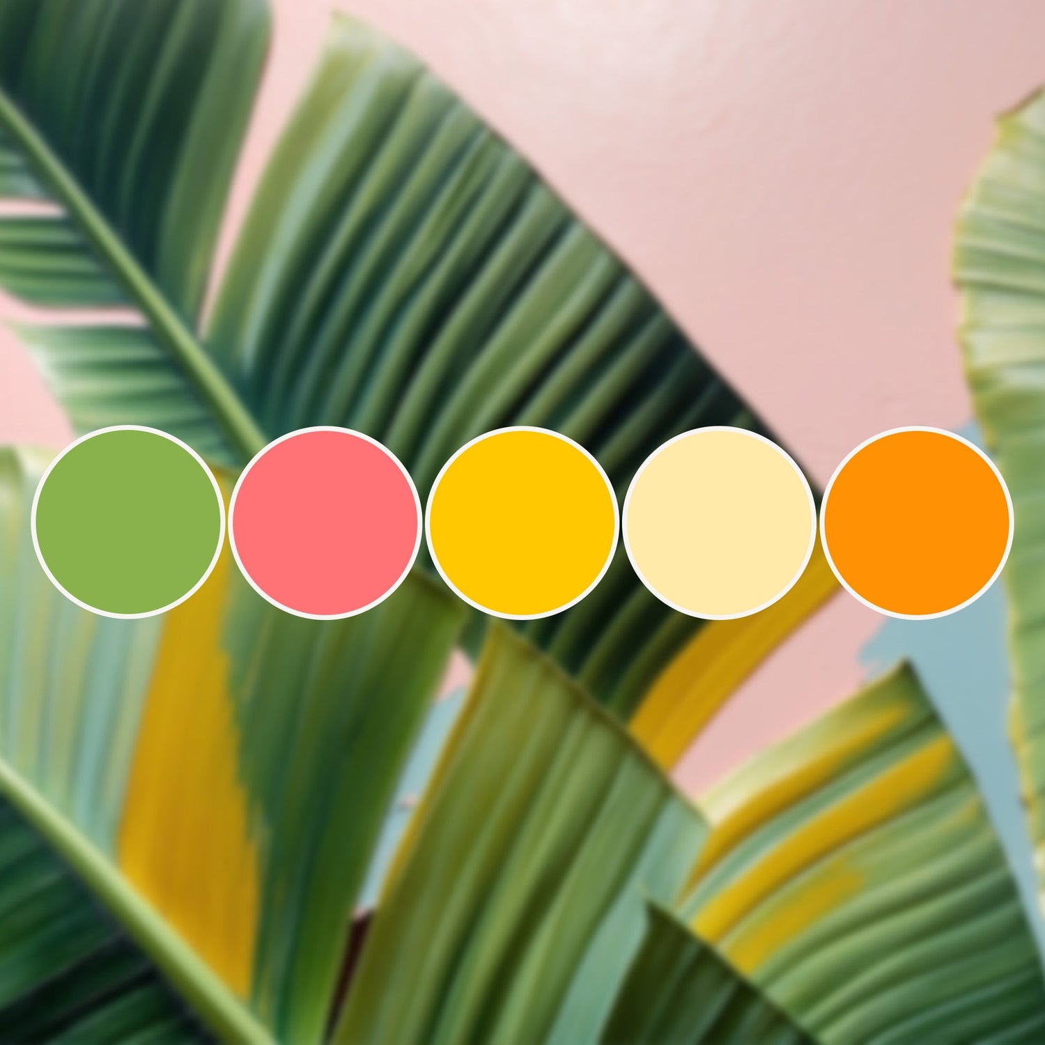 Bright & Tropical Colors