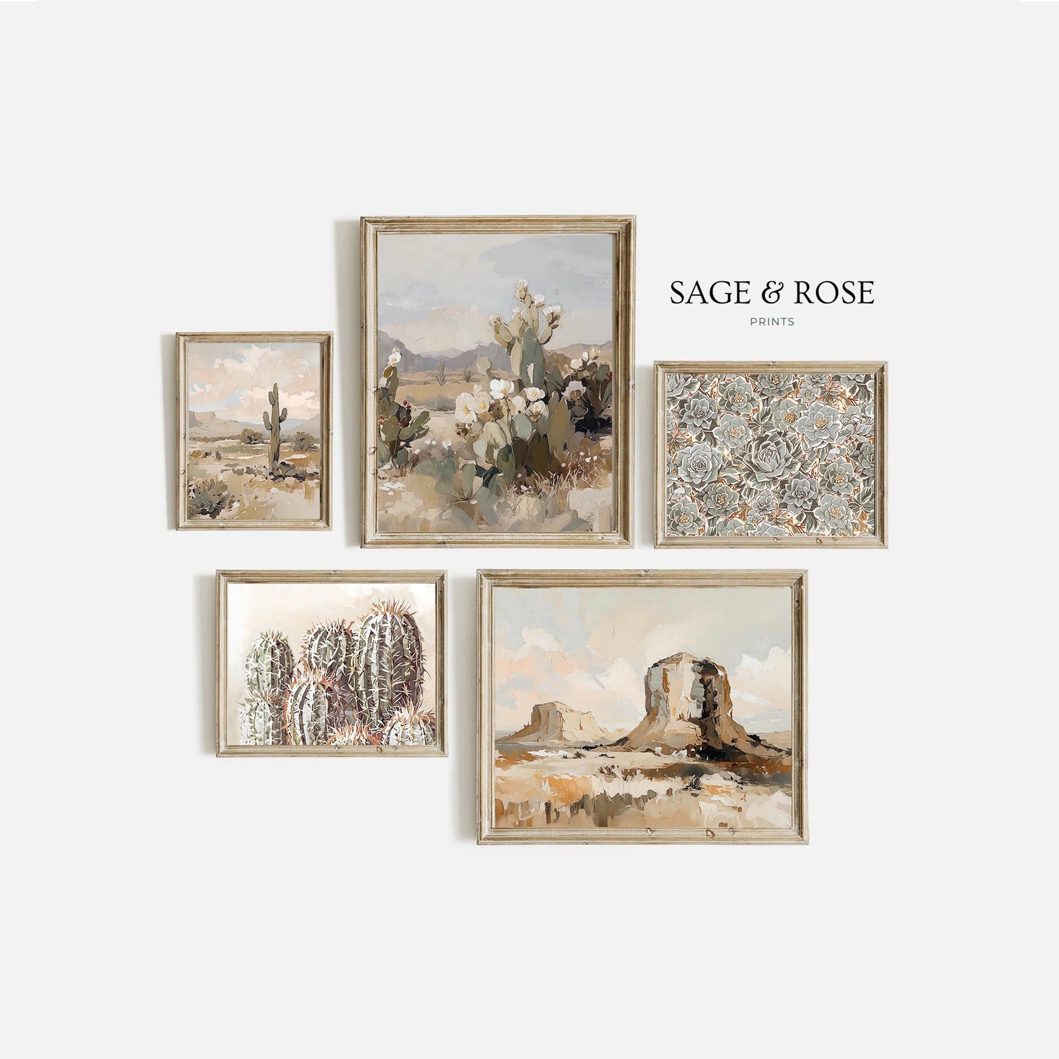 Paquetes del desierto