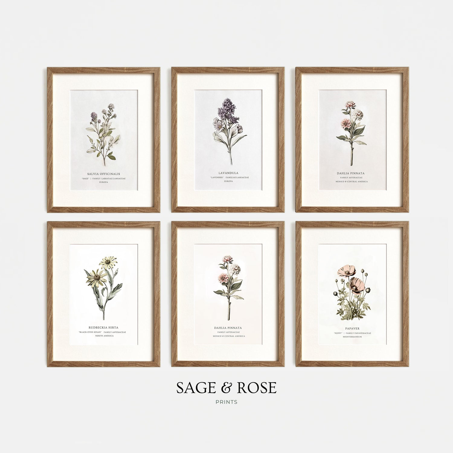 Conjuntos de cuadrícula