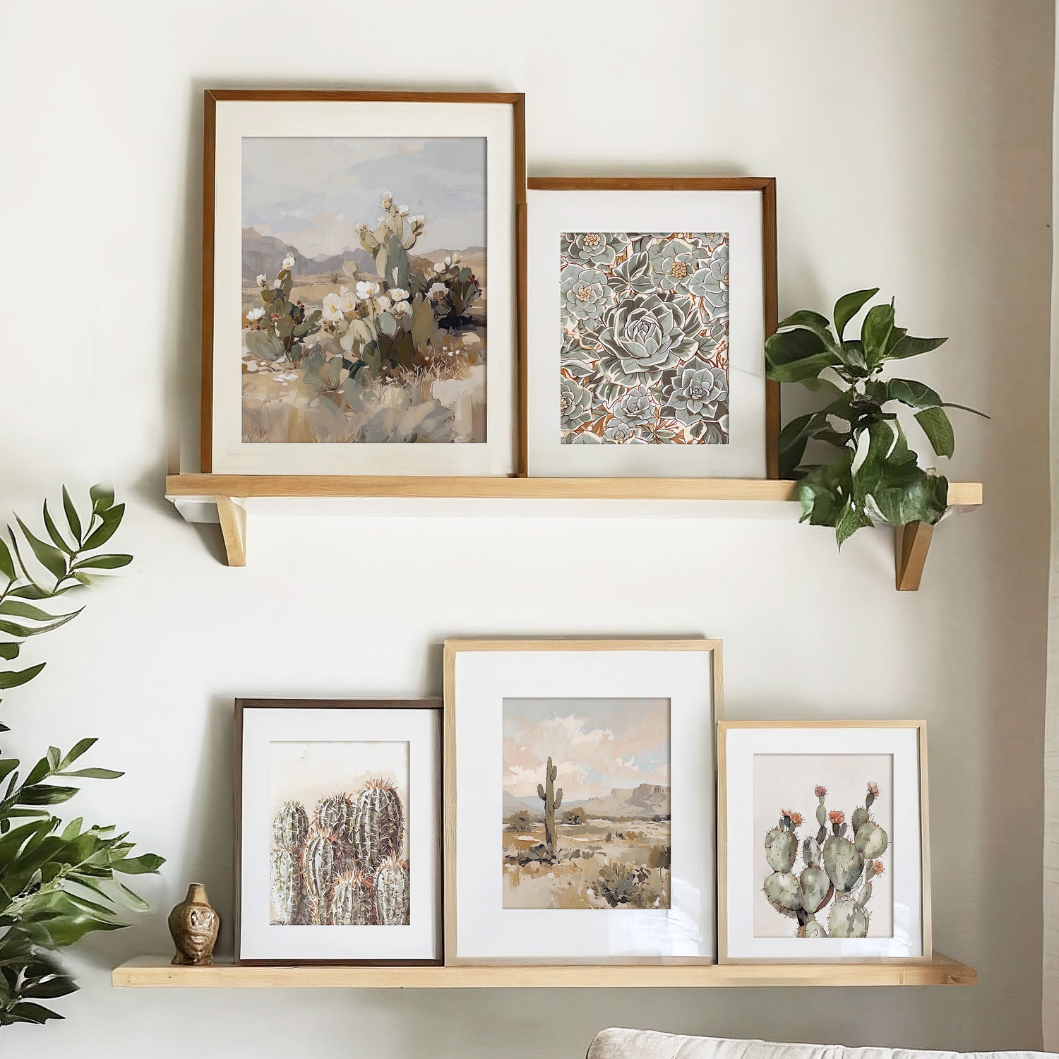 Desierto - Estantes y rincones