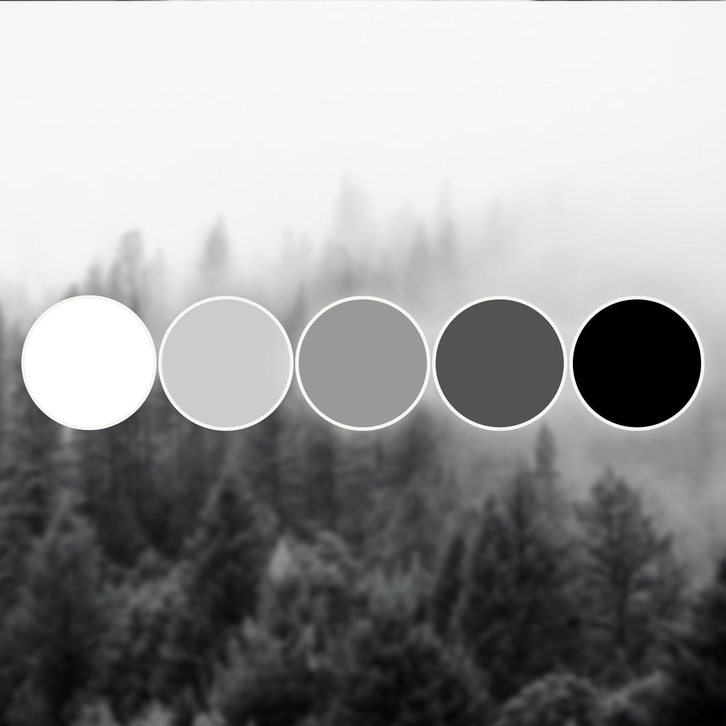 Black and White