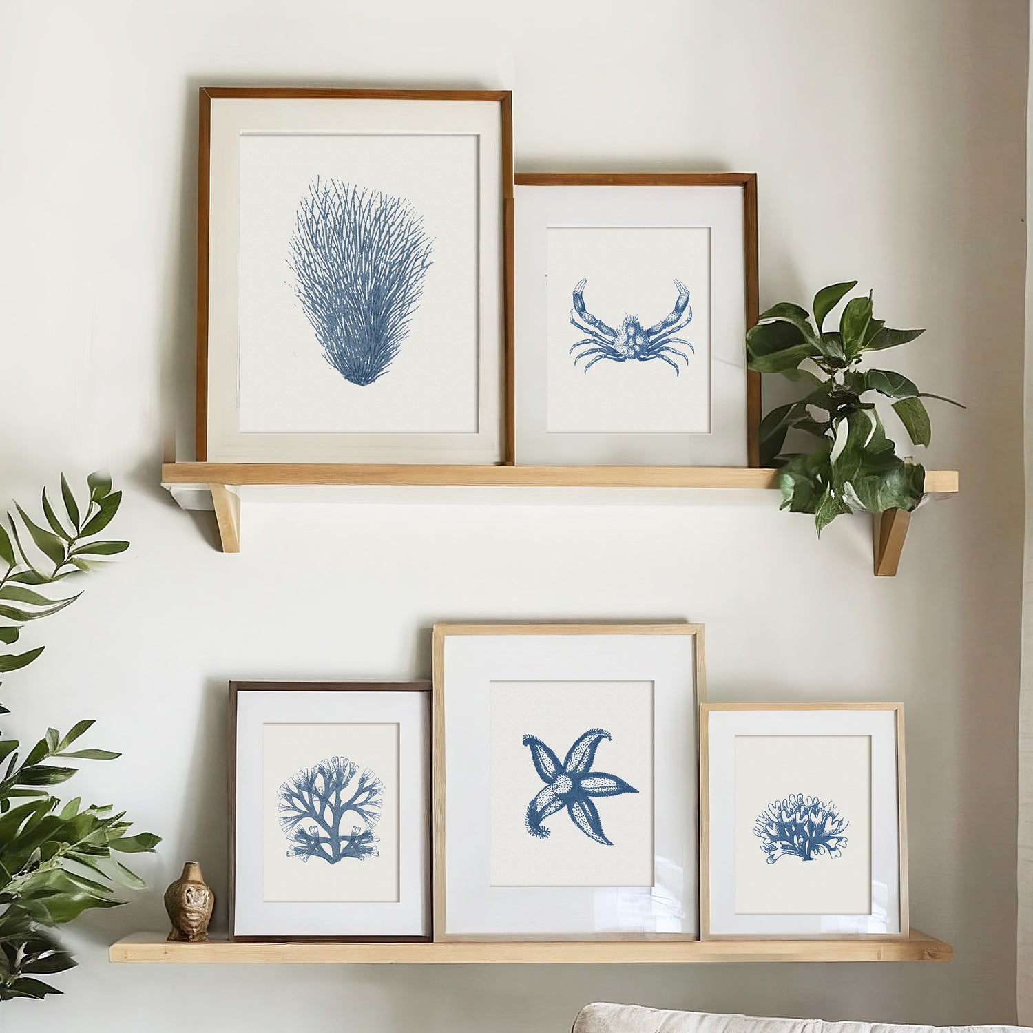 Coastal Shelves & Nooks