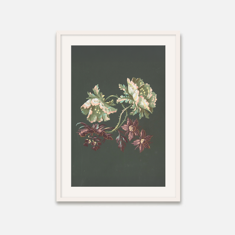 Green Floral Botanical Print No1 - Sage and Rose Prints