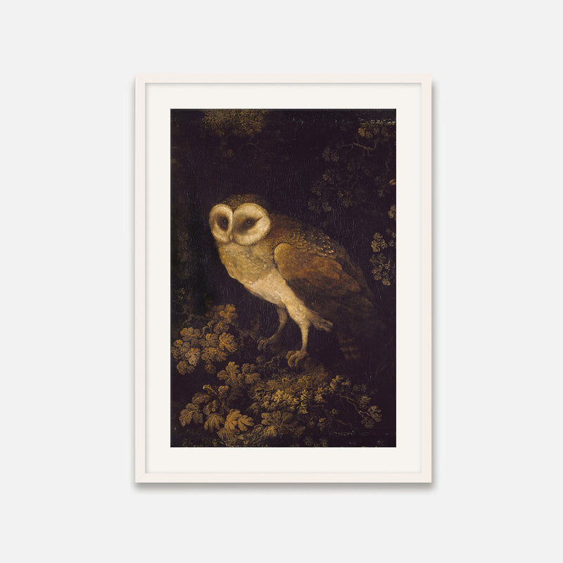 Owl Print - Sage and Rose Prints