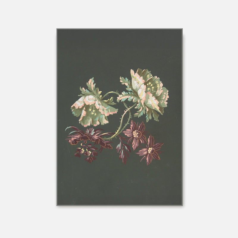 Green Floral Botanical Print No1 - Sage and Rose Prints