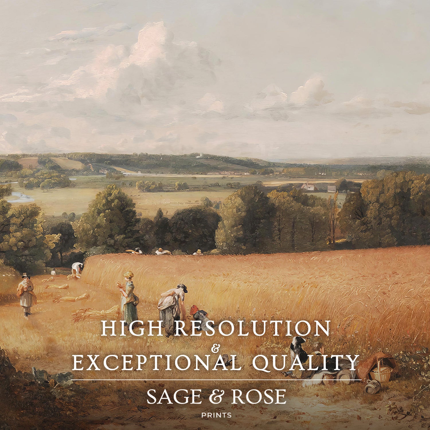 Landscape Art 05-2x - Sage and Rose Prints