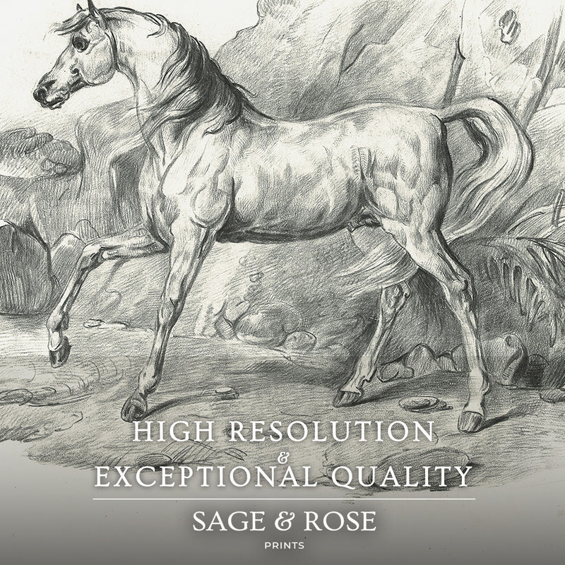 Horse Illustration 20-1x - Sage and Rose Prints