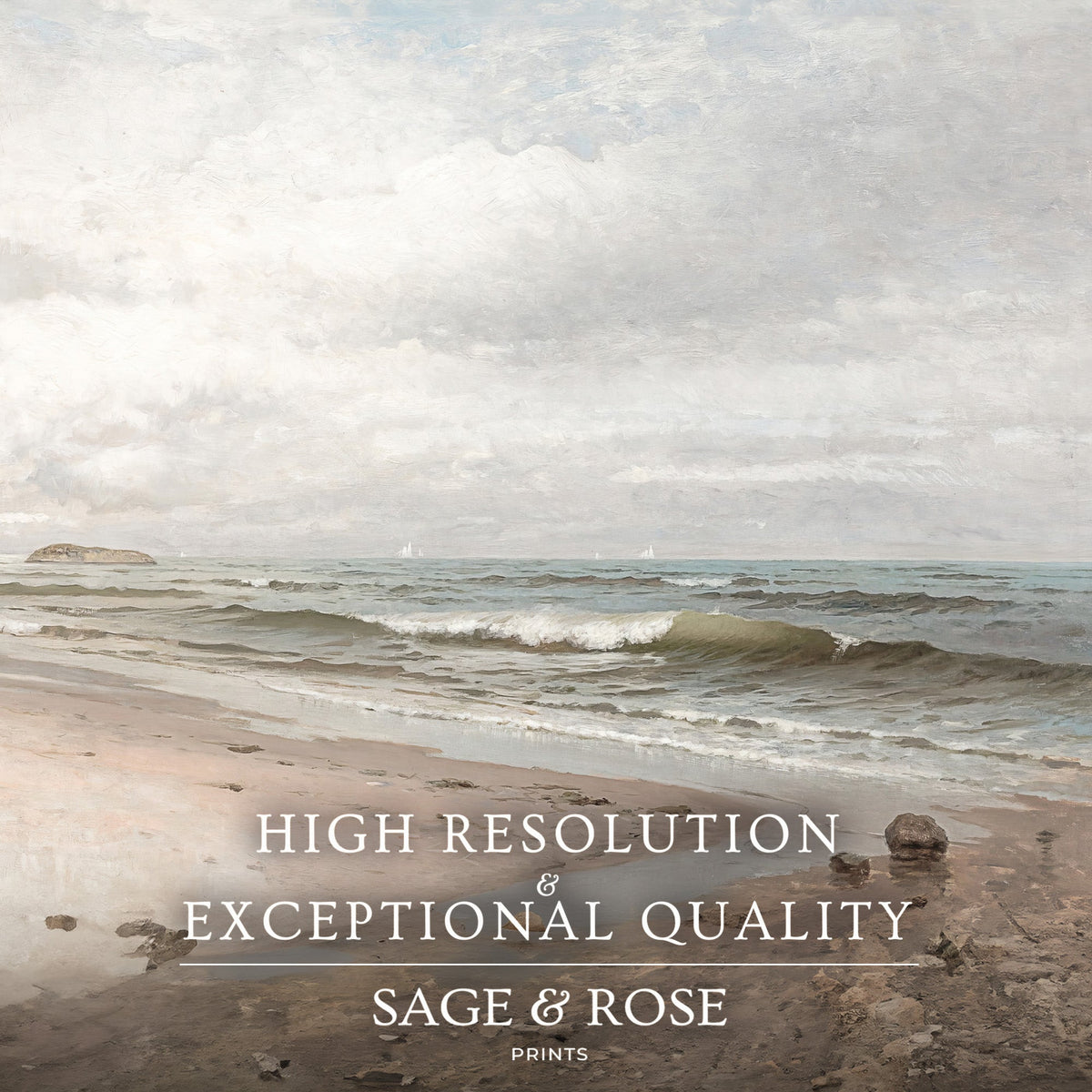 3 Piece Coastal Wall Art - Sage and Rose Prints