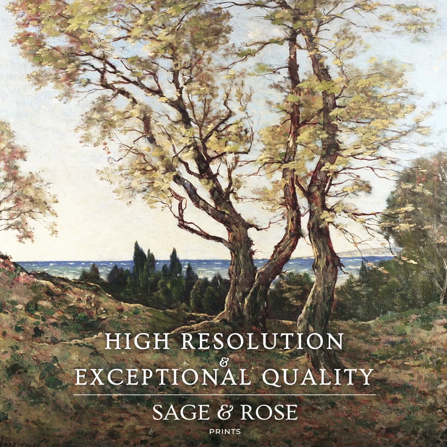 Landscape Art 17-1x - Sage and Rose Prints