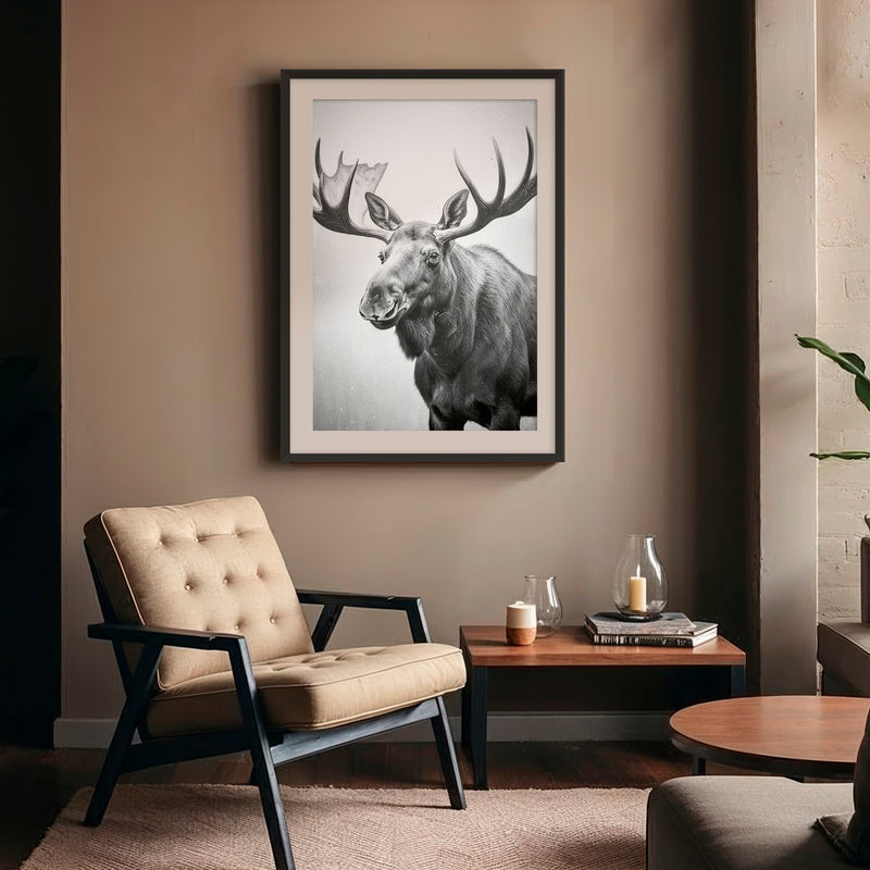 Black and White Moose Photograph - Sage and Rose Prints