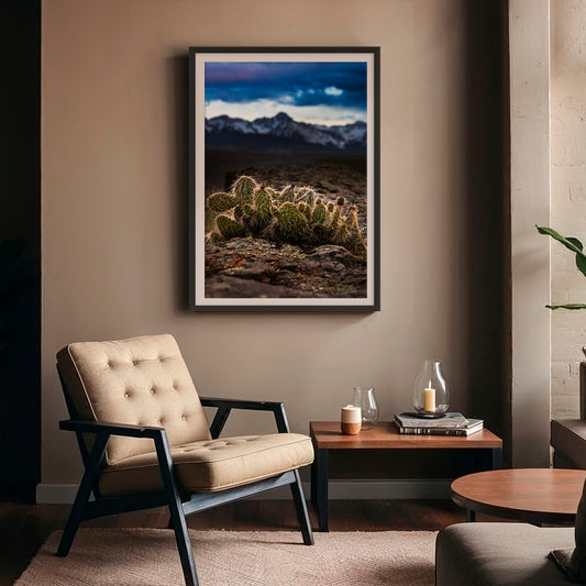 Desert Meets Mountain Photography - Sage and Rose Prints