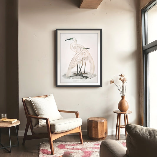 Vintage White Cranes Illustration Print - Sage and Rose Prints