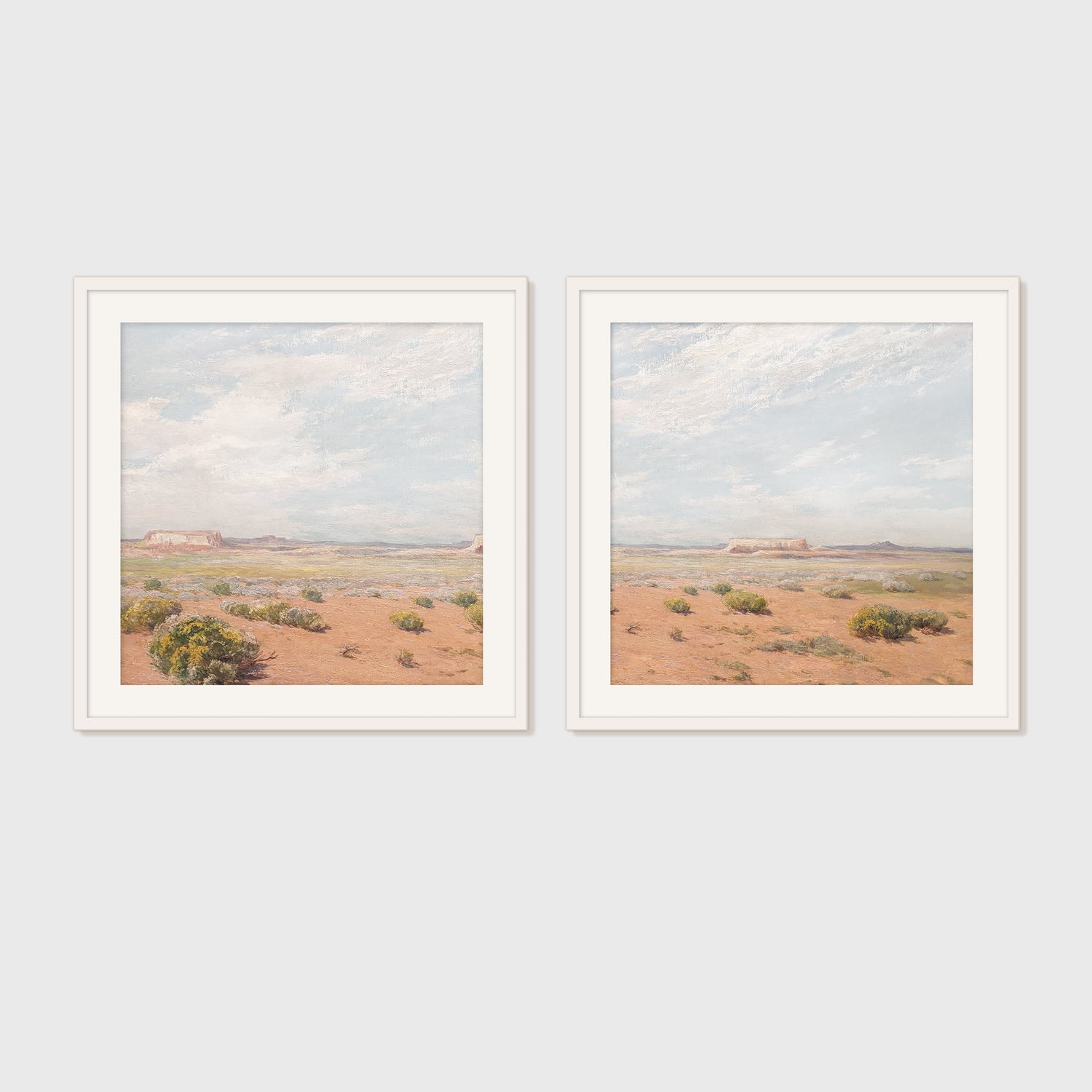 Desert Package - Medium Art Combo's D - 2x- - Sage and Rose Prints