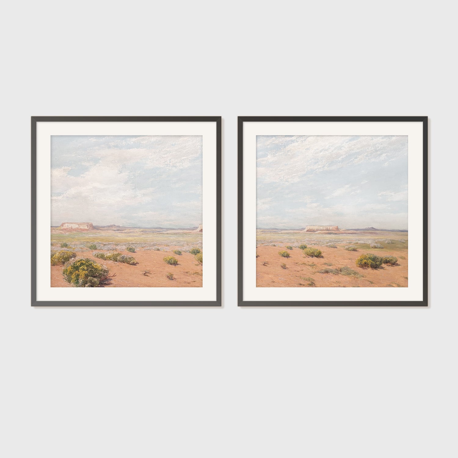 Desert Painting 11-2x - Sage and Rose Prints