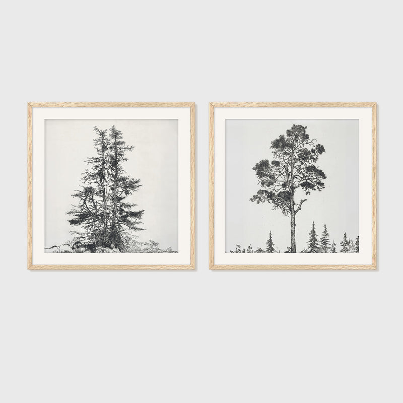 Black and White Trees 2 Panel Art Set - Sage and Rose Prints