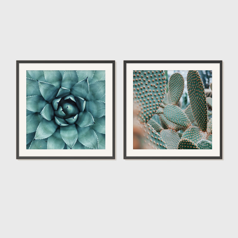 Geometric Cactus Patterns 2 Photo Set - Sage and Rose Prints