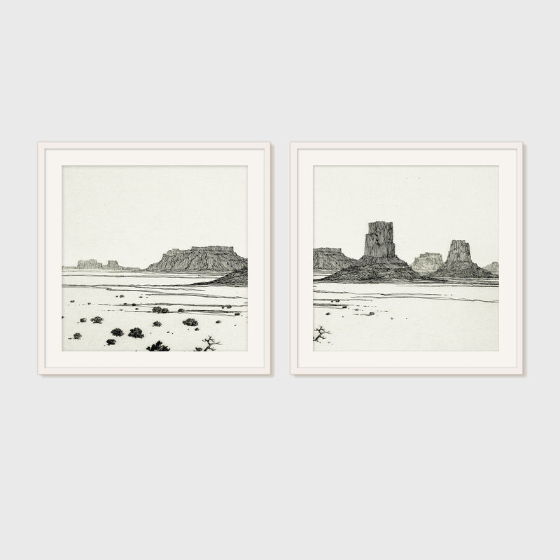 Black and White Desert Landscape 2-Panel Set - Sage and Rose Prints