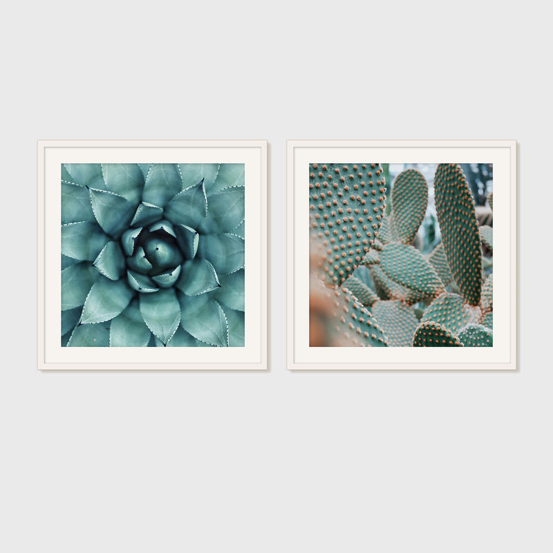 Geometric Cactus Patterns 2 Photo Set - Sage and Rose Prints