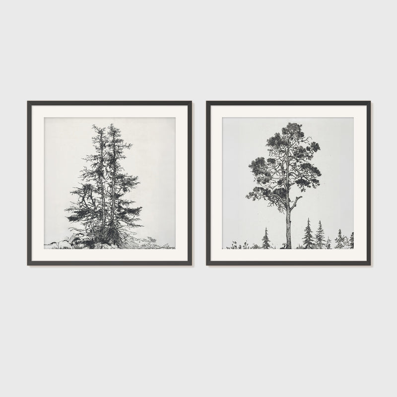 Black and White Trees 2 Panel Art Set - Sage and Rose Prints